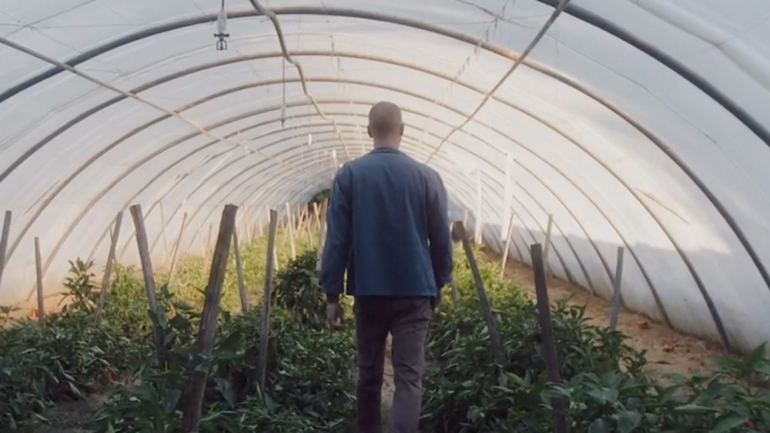 Med'Agri - Grand Avignon