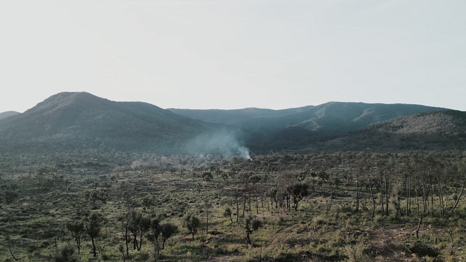 Made in Situ - Chêne-Liège