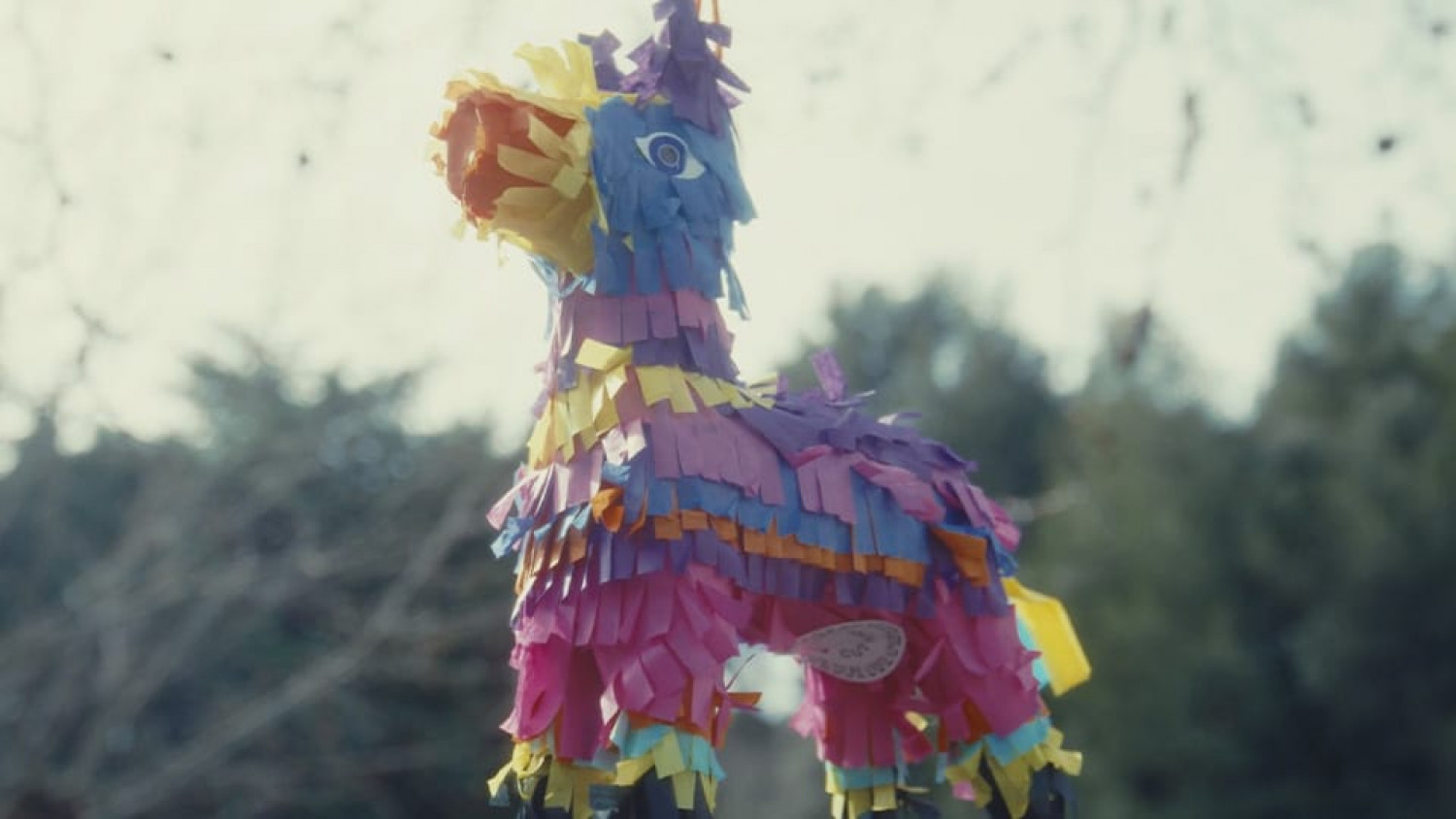 Appelle-moi si tu peux